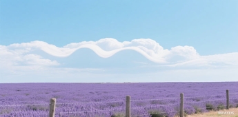 留學生申請落戶上海都需要準備哪些材料呢