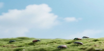 留學(xué)生回國咨詢就業(yè)落戶手續(xù)接收單位有哪些