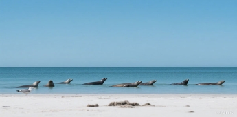 你可能想不到 世界一流大學的學習環境有多好