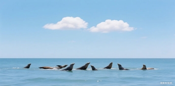 成都積分入戶如何獲得120分