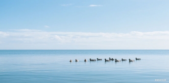 2022年人才引進政策年內出臺 助力科創中心建設