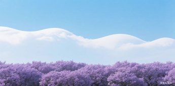 留學(xué)生歸國的各項(xiàng)政策及辦理流程